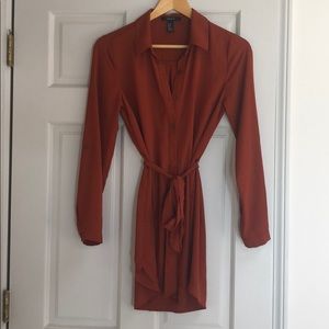 Chiffon Dress (Size S)